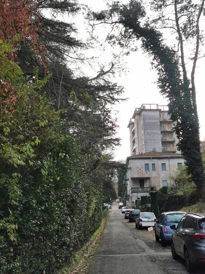 Lovely View Albizzate Exterior foto